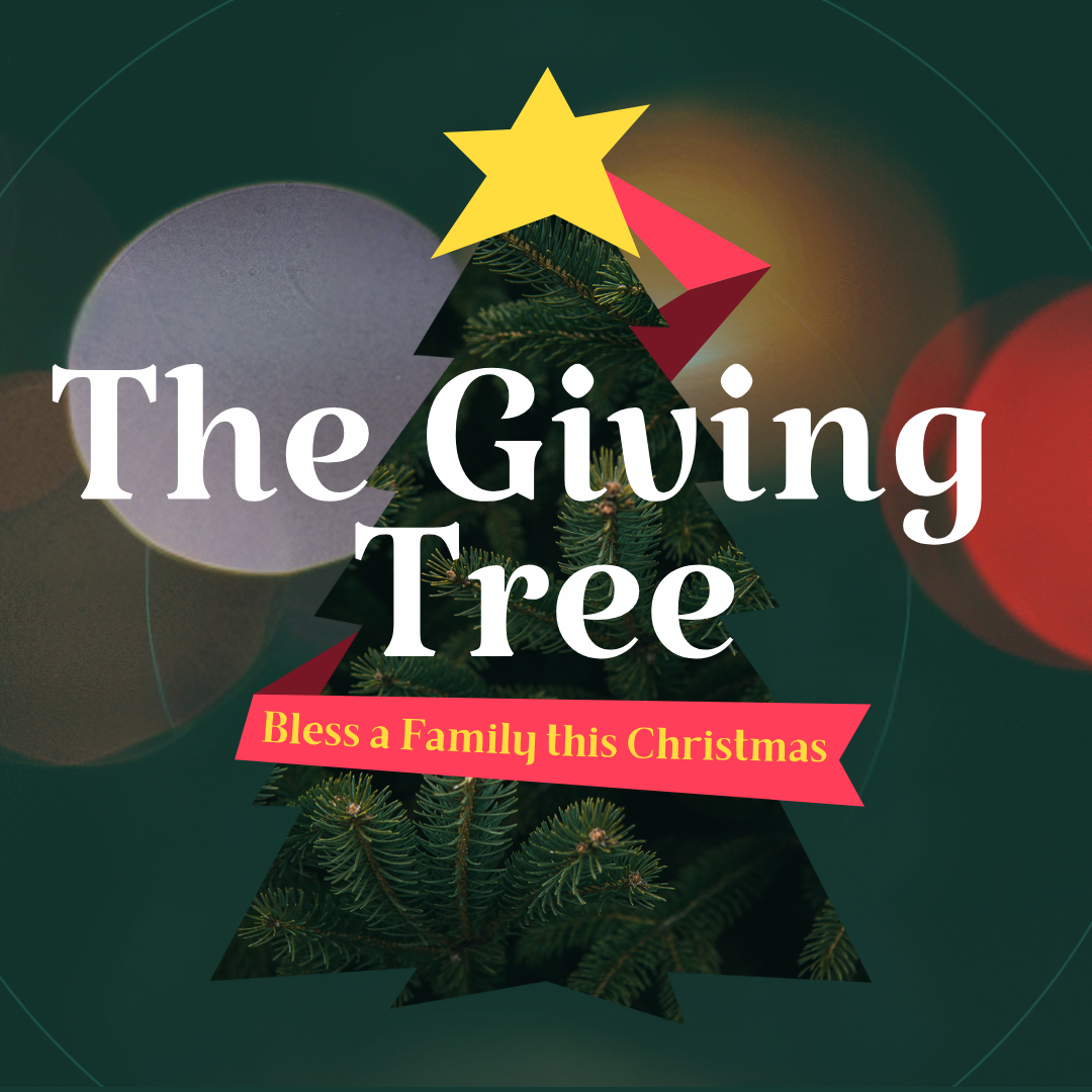 Giving Tree (Instagram Post)